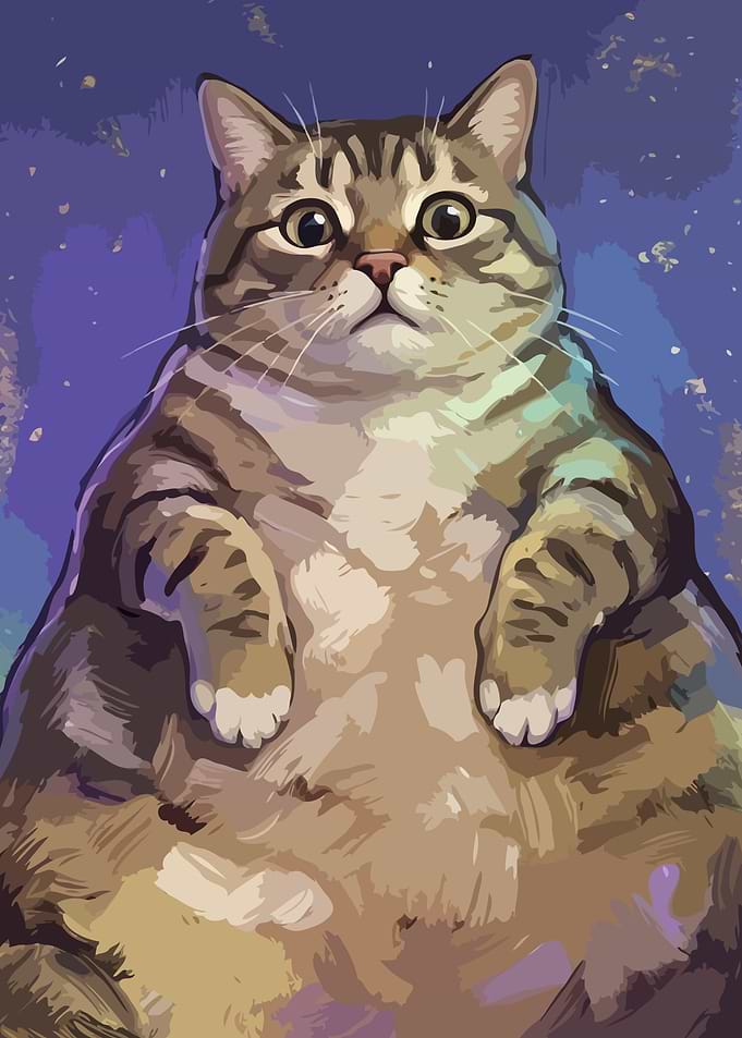 Chubby Tabby Cat Portrait