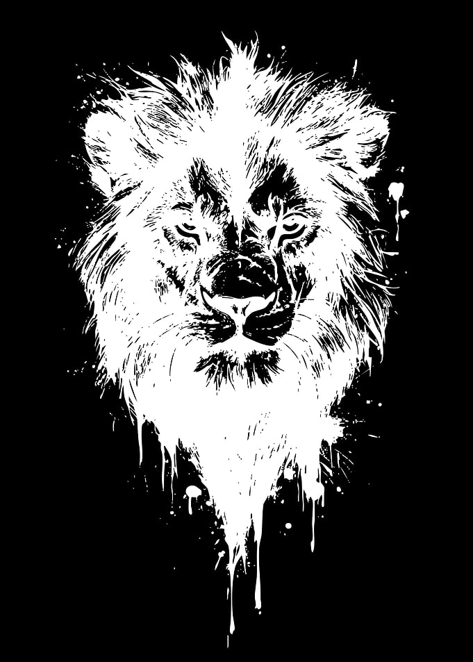 Lion Splatter Art