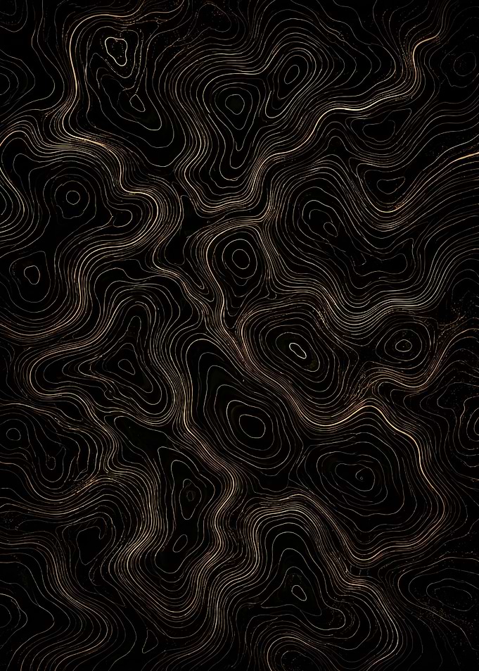 Abstract Topographic Lines on Black