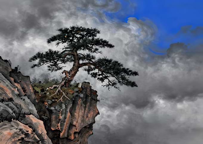Pine tree on a cliff