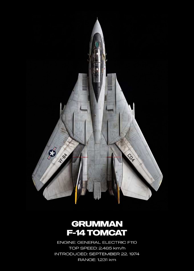 Grumman F-14 Tomcat Top View