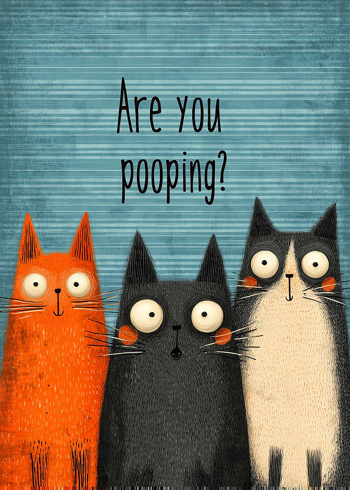 Three Cats Asking 'Are You Pooping?'