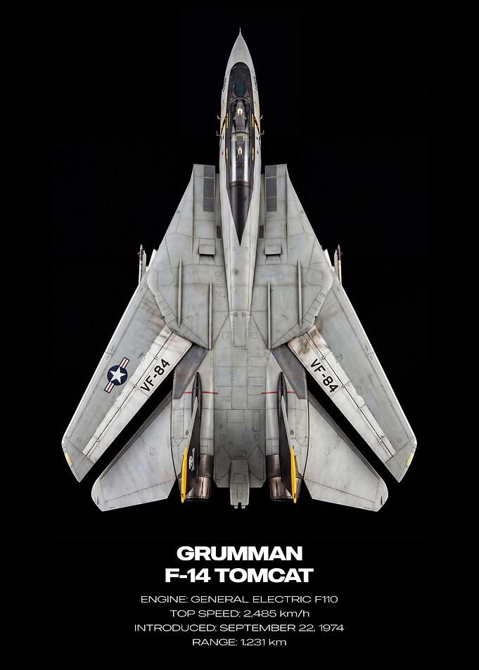 Grumman F-14 Tomcat Top View