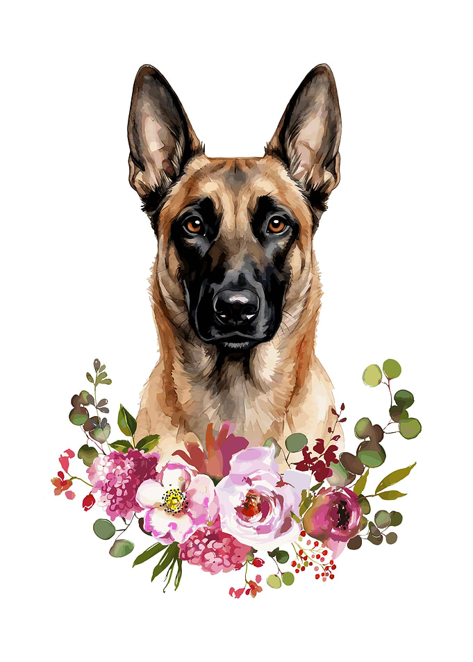 Malinois Dog with Flowers