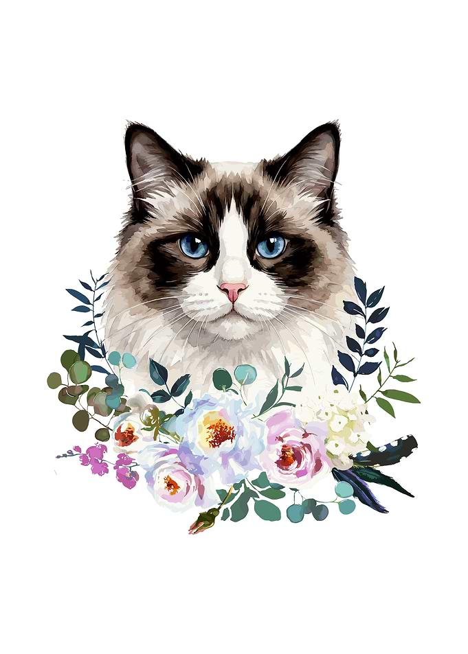 Watercolor Ragdoll Cat with Flowers
