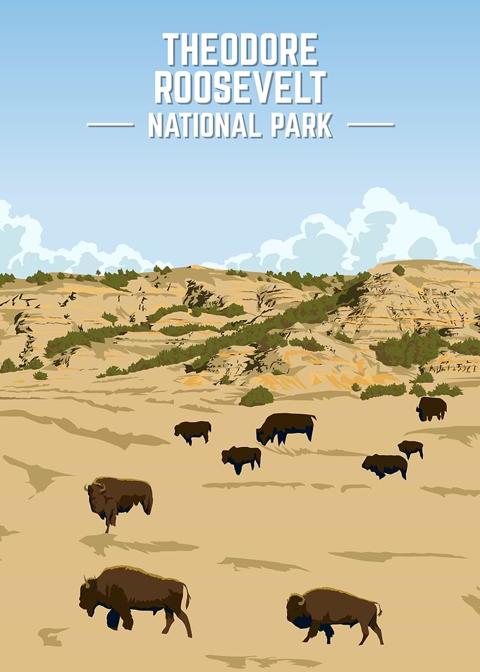Theodore Roosevelt National Park Bison