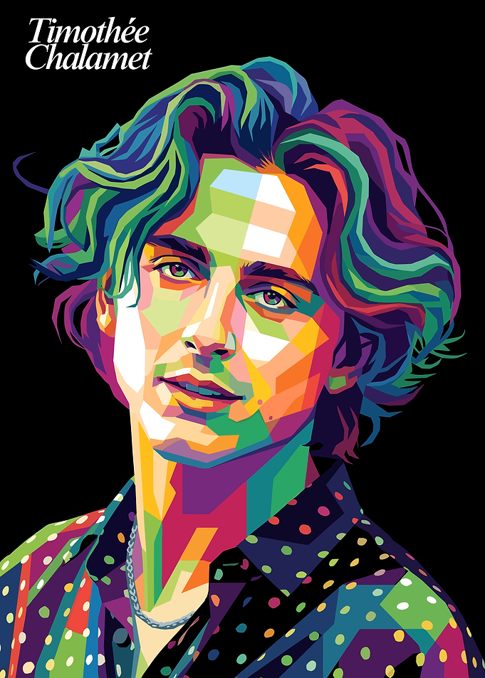 Timothée Chalamet Pop Art Portrait