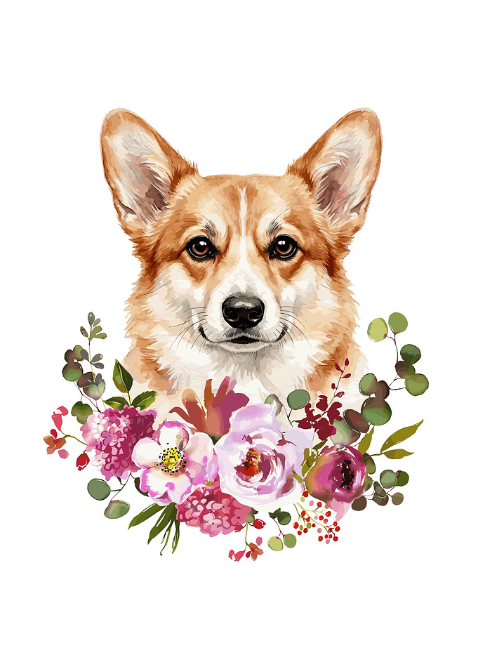 Corgi with Flowers