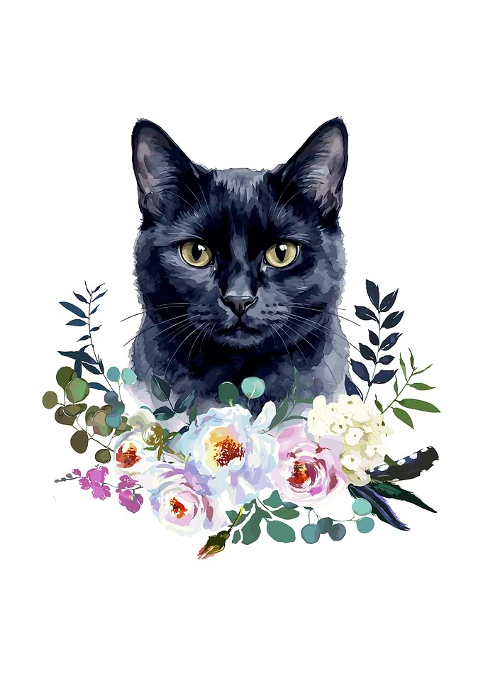Black Cat with Floral Arrangement