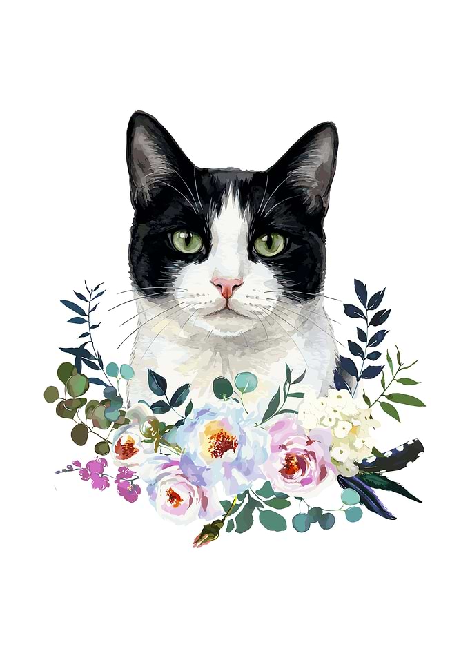 Black and White Cat with Flowers