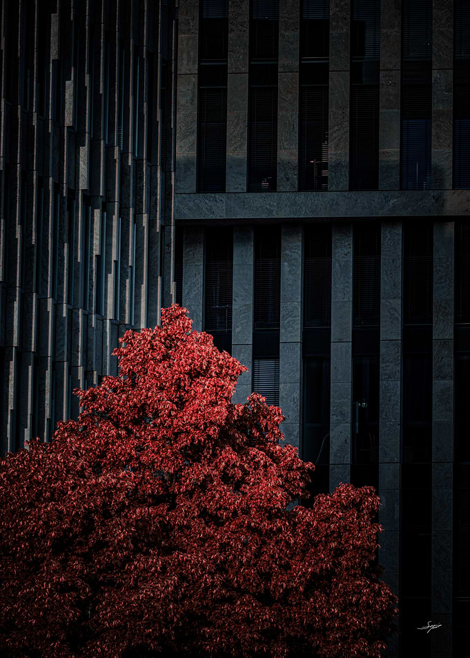 Last Color