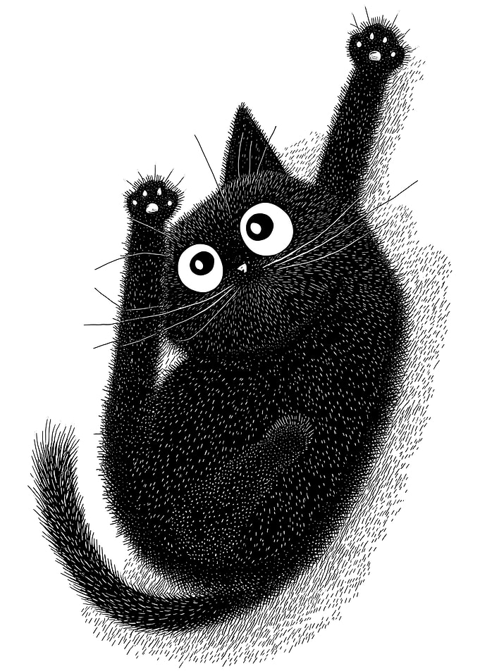 Surprised Black Cat Illustration