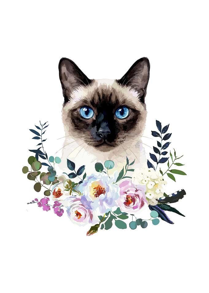 Siamese Cat with Flowers