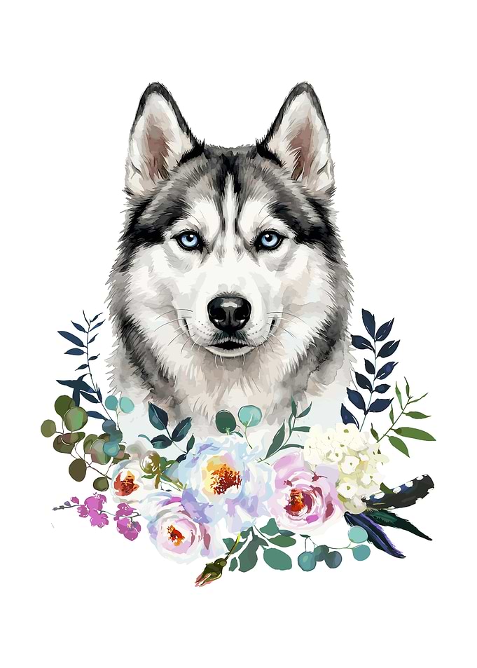 Husky Dog with Floral Wreath