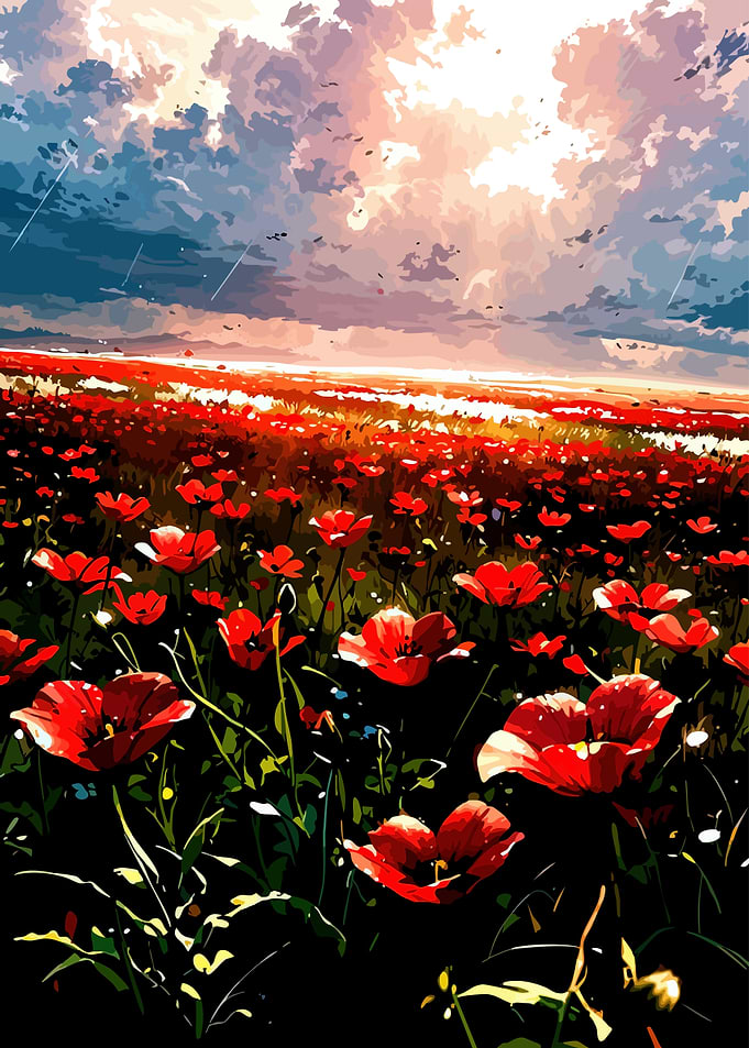 Field of Poppies Under Dramatic Sky