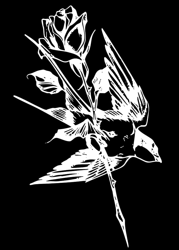 Rose and Bird Illustration
