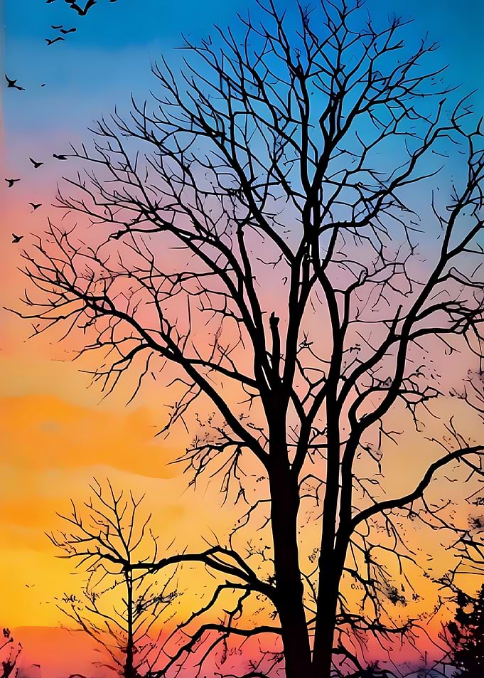 Silhouette of Trees Against Sunset Sky