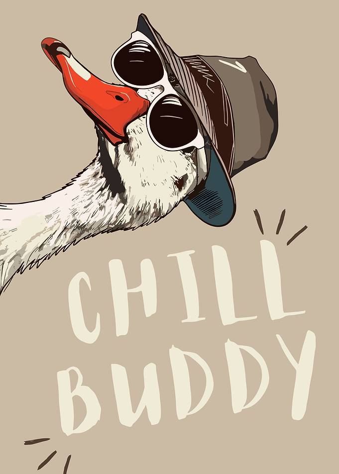 Goose wearing sunglasses and hat