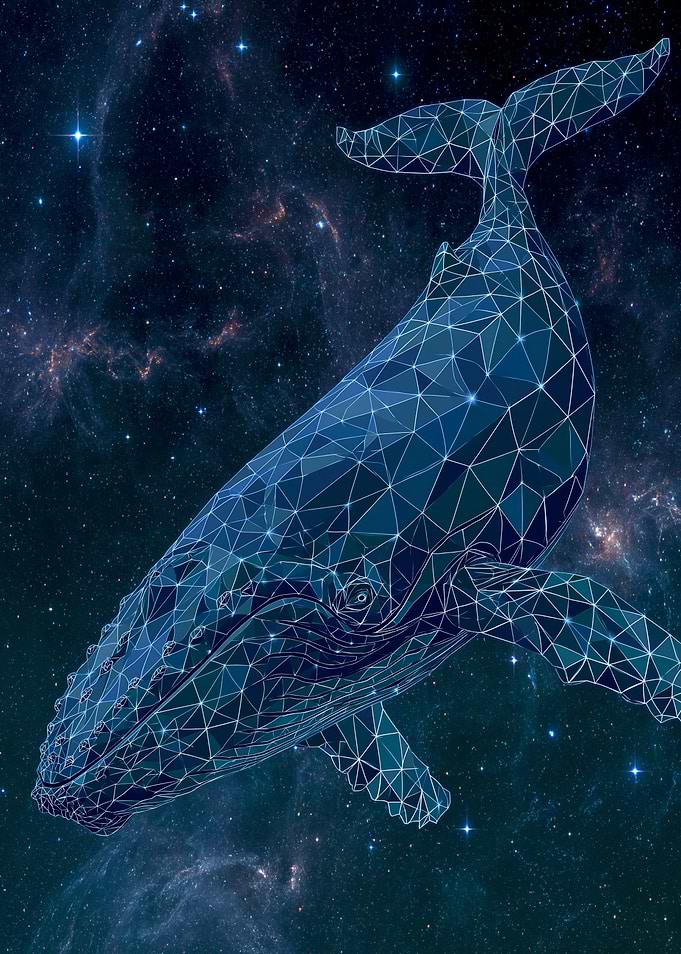 Geometric Whale in Cosmic Nebula