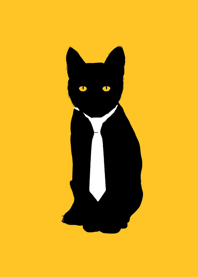 Office Cat