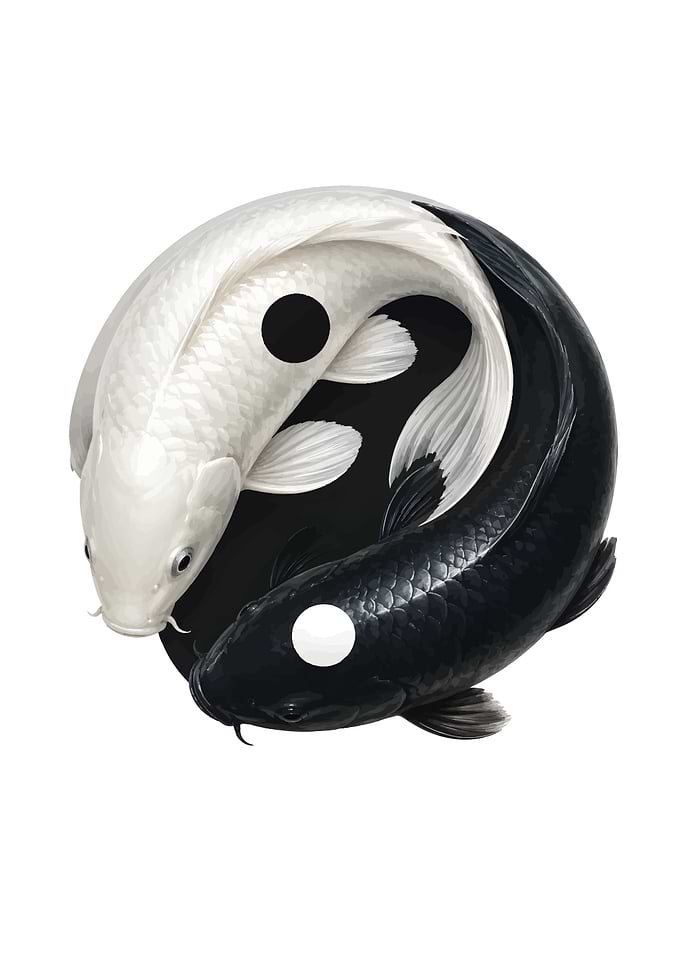 Yin Yang Koi Fish Symbol