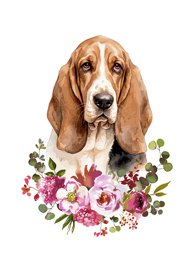 Basset Hound with Flowers