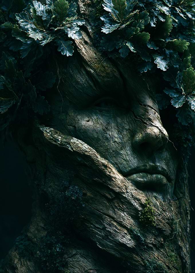 Ancient Tree Spirit Face