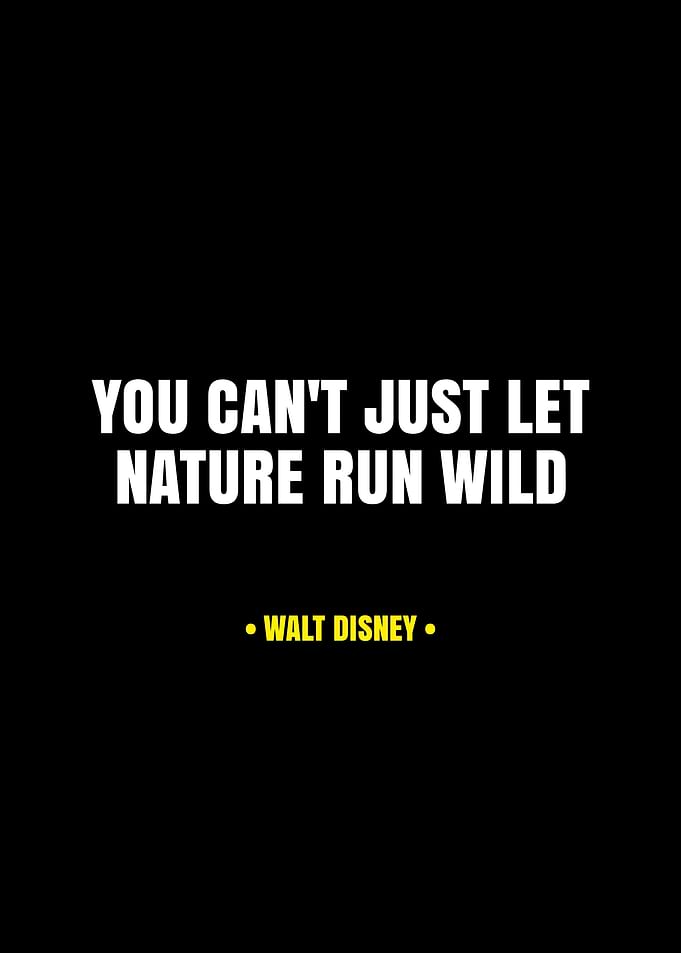 Walt Disney quote about nature