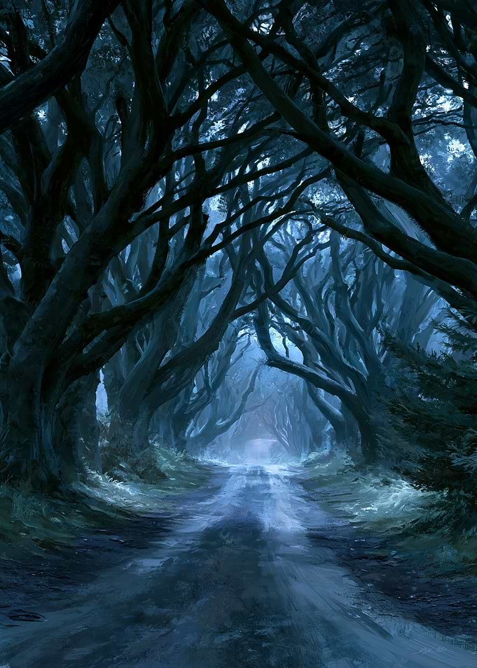Enchanted Forest Path