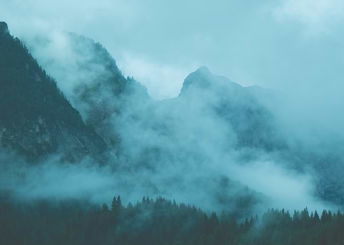 Misty Mountain Forest Landscape