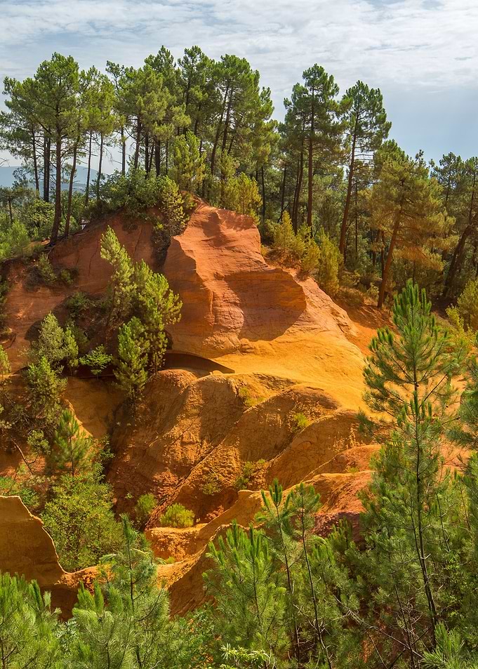 Ochre rock formations and pine forest