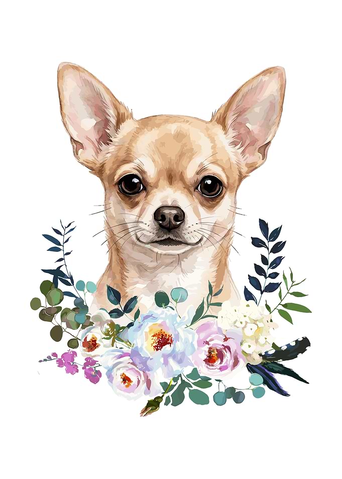 Chihuahua with Floral Wreath