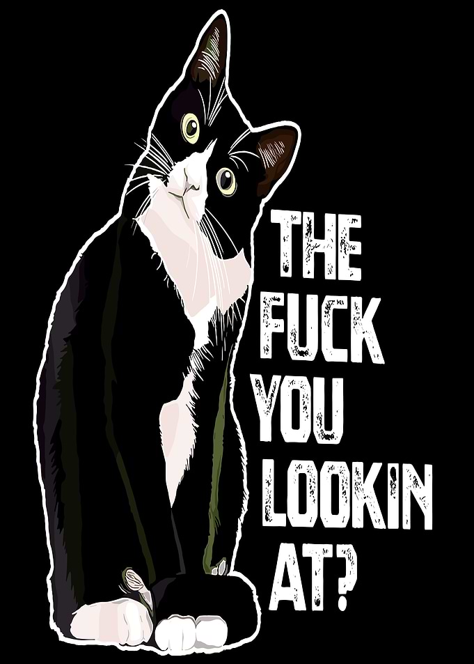 Tuxedo Cat with Sarcastic Text