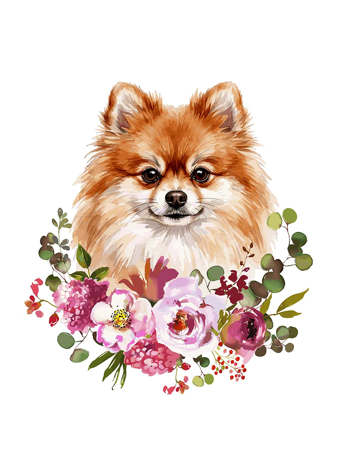 Pomeranian Dog with Flowers