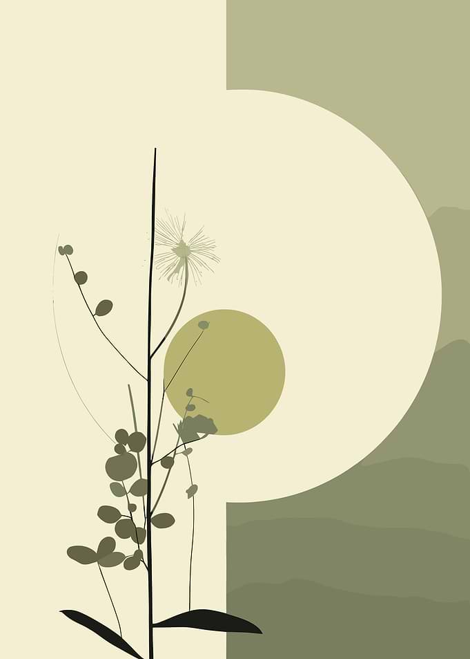 Minimalist Botanical Illustration with Sun and Moon