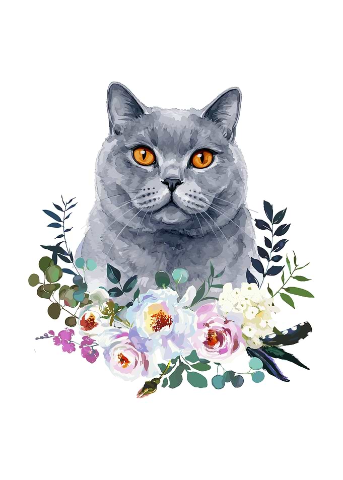 British Shorthair Cat with Flowers