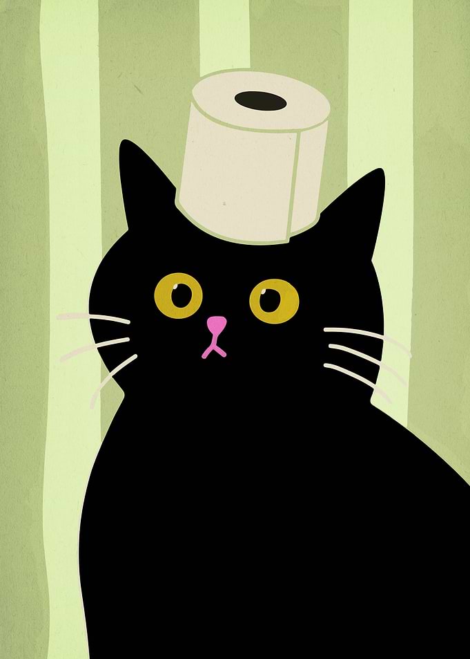 Black Cat Wearing Toilet Paper Hat