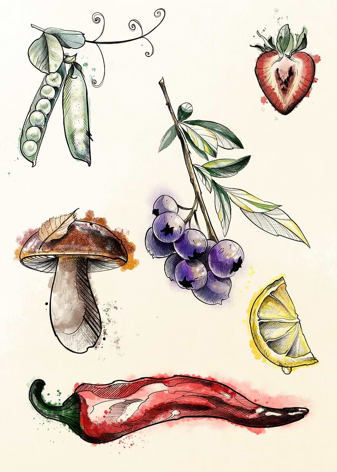 Harvest Collection — Botanical watercolor