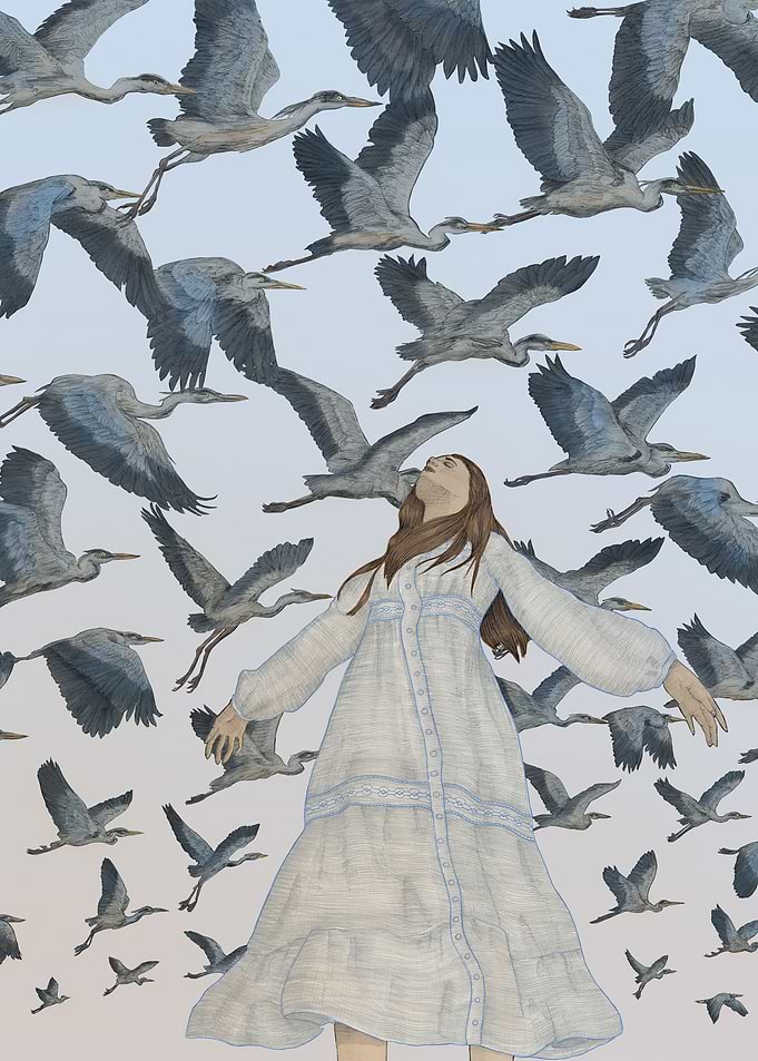 Fly Away Dawn