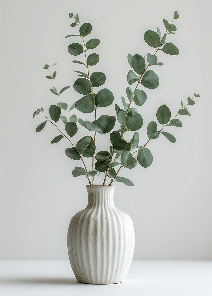 Eucalyptus branches in a vase