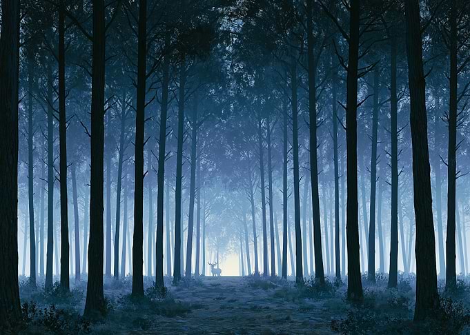 Deer in a misty forest