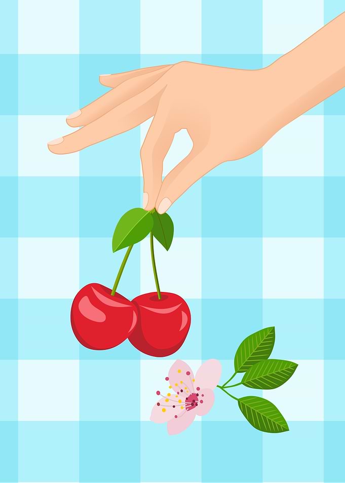 Hand Holding Cherries and a Flower