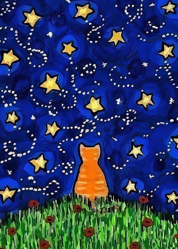 Orange Cat Gazing at Starry Night Sky