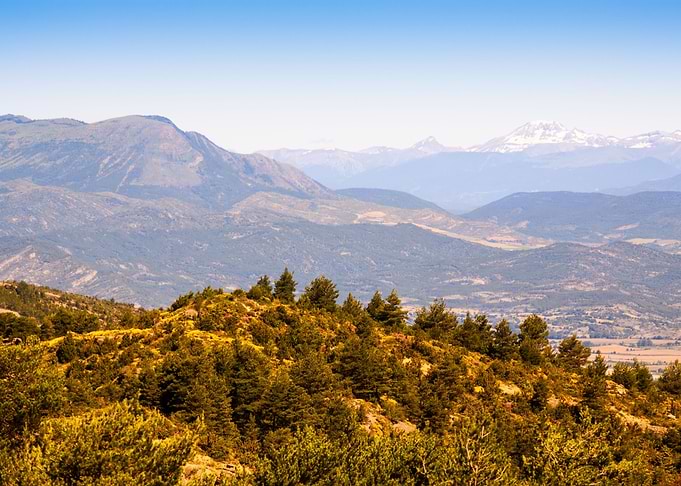 Mountain Landscape with Pine Trees