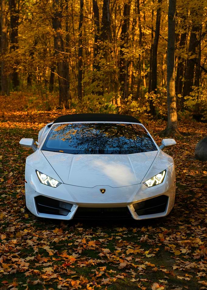 White Lamborghini Convertible in Autumn Forest