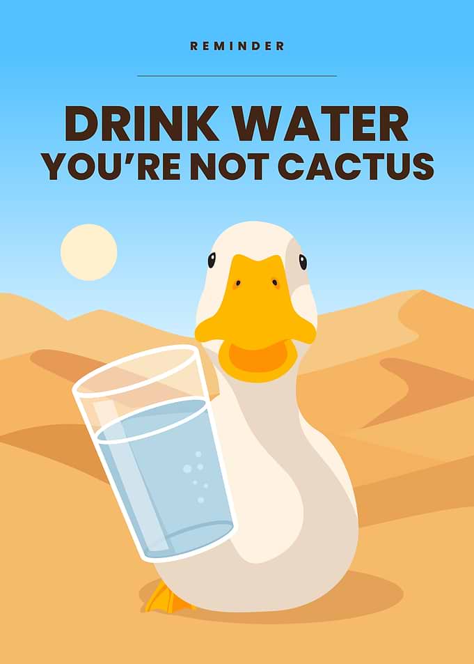 Duck drinks water in the desert