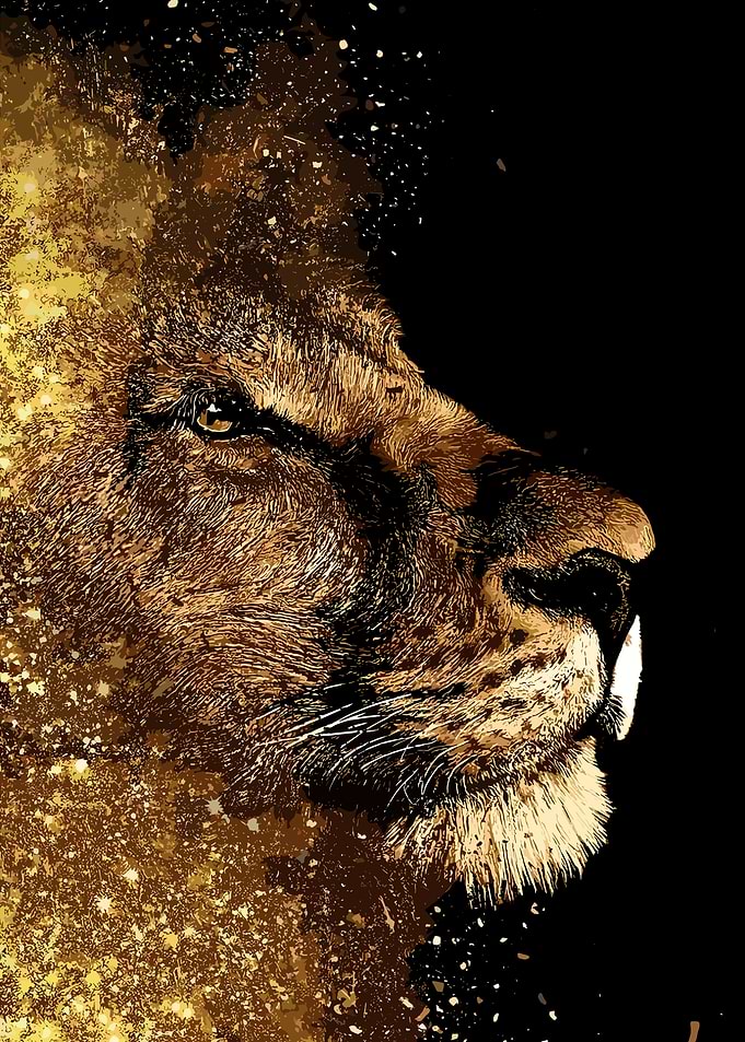 Golden Lion Profile