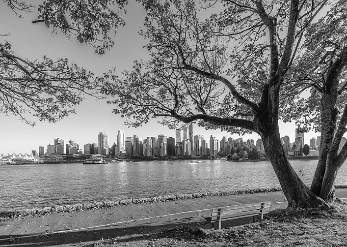 Autumn Idyll and Vancouver Skyline