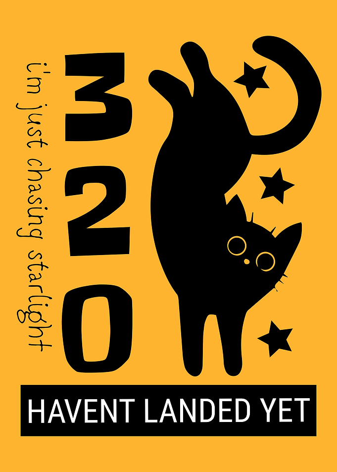 Black Cat Chasing Stars