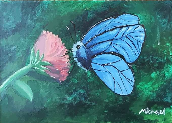 Blue Butterfly on Pink Flower